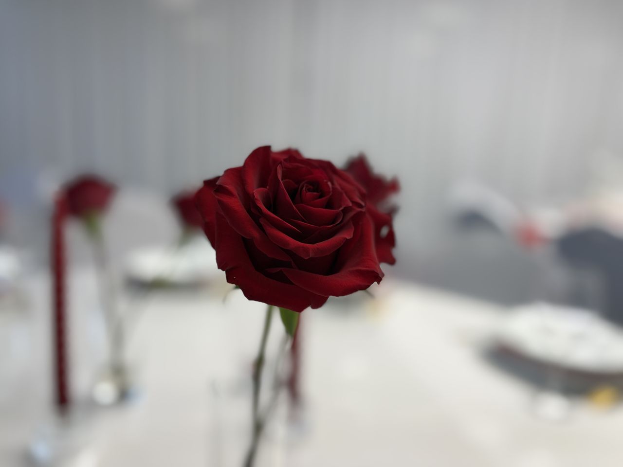 Mariage à Lille chez Team Square